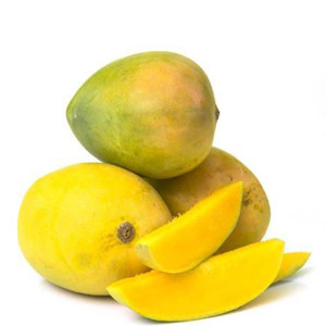 Buy Mango Plant from Ezonefly