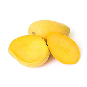 Buy Mango Plant from Ezonefly