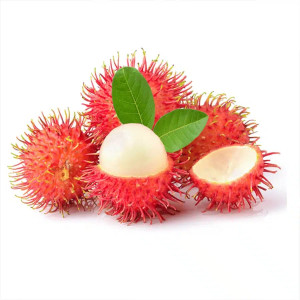 Find Rambutan Plant Products from Ezonefly