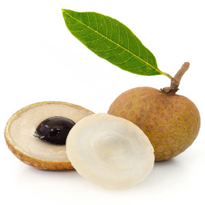 Find Longan Plant Products from Ezonefly