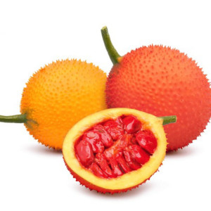 Buy Rare Exotice Gac Fruit Plant (Momordica Cochinchinensis) from Ezonefly